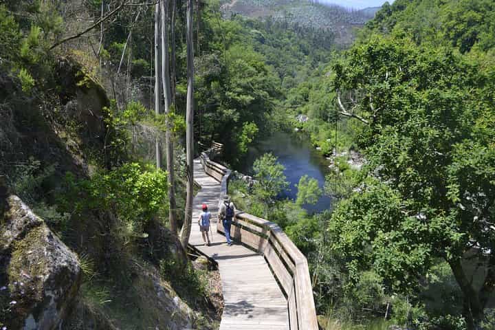 516 Arouca Bridge, Paiva Walkways and Aveiro Tour