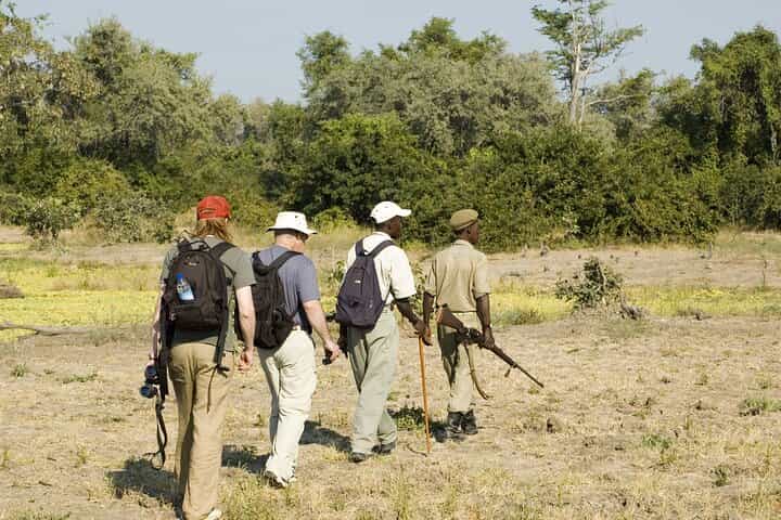 Private Tour in Arusha National Park