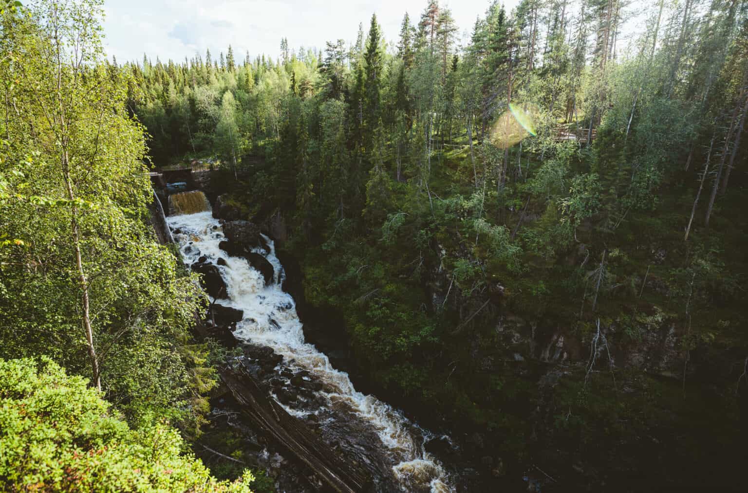 Rovaniemi: Auttiköngäs Waterfalls Hike Tour & Barbeque - Small Group