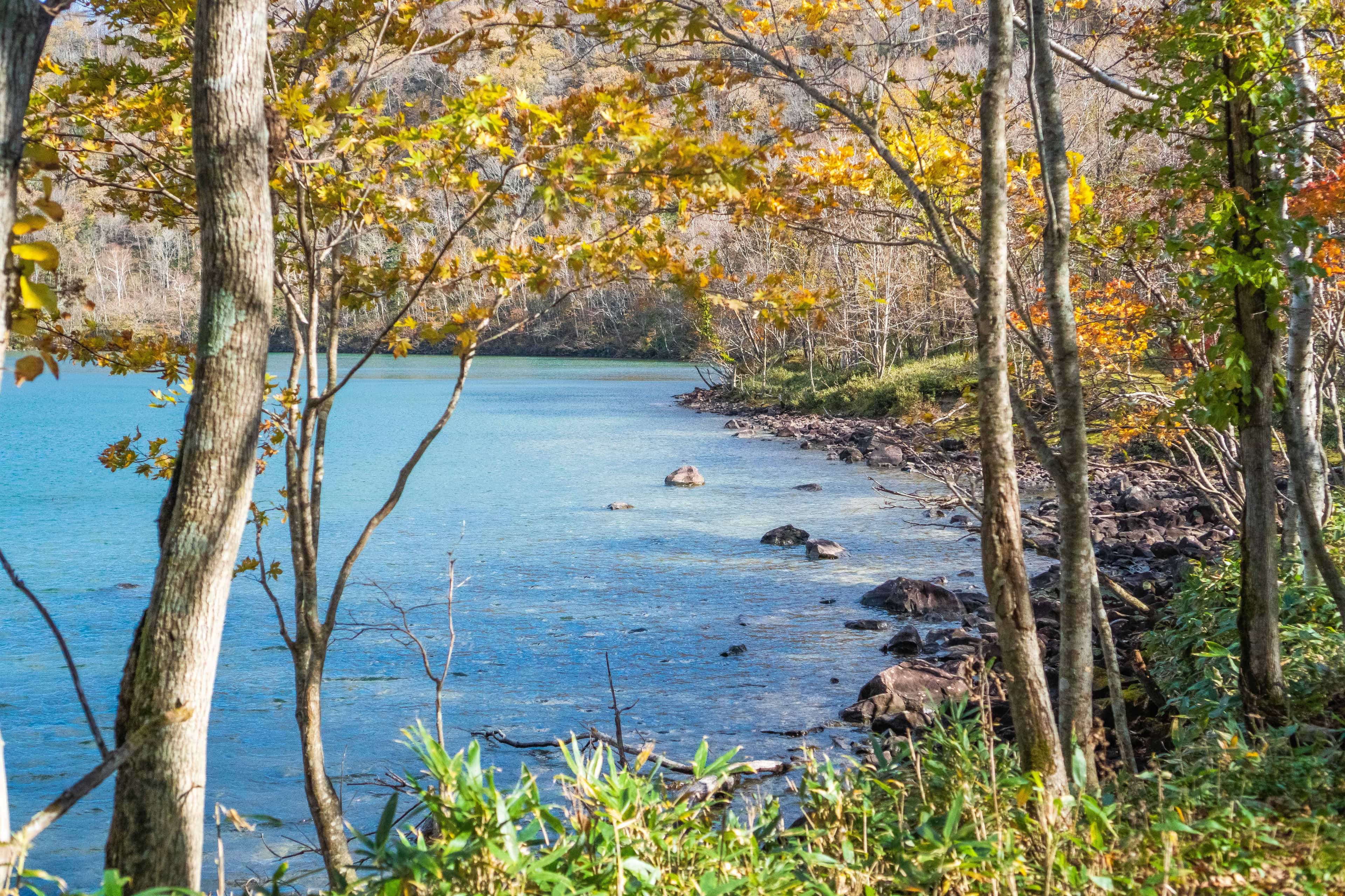 Lake Tachibana Autumn Hiking
