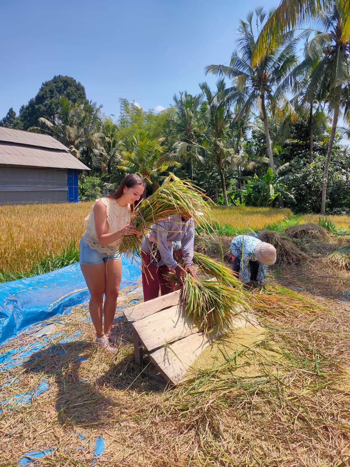Bali Cycling Rural Tour Including Hotel Pick up