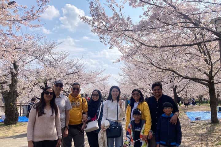 Osaka 4 Hours: Special Sakura Season, Castle, Highlights, Walking