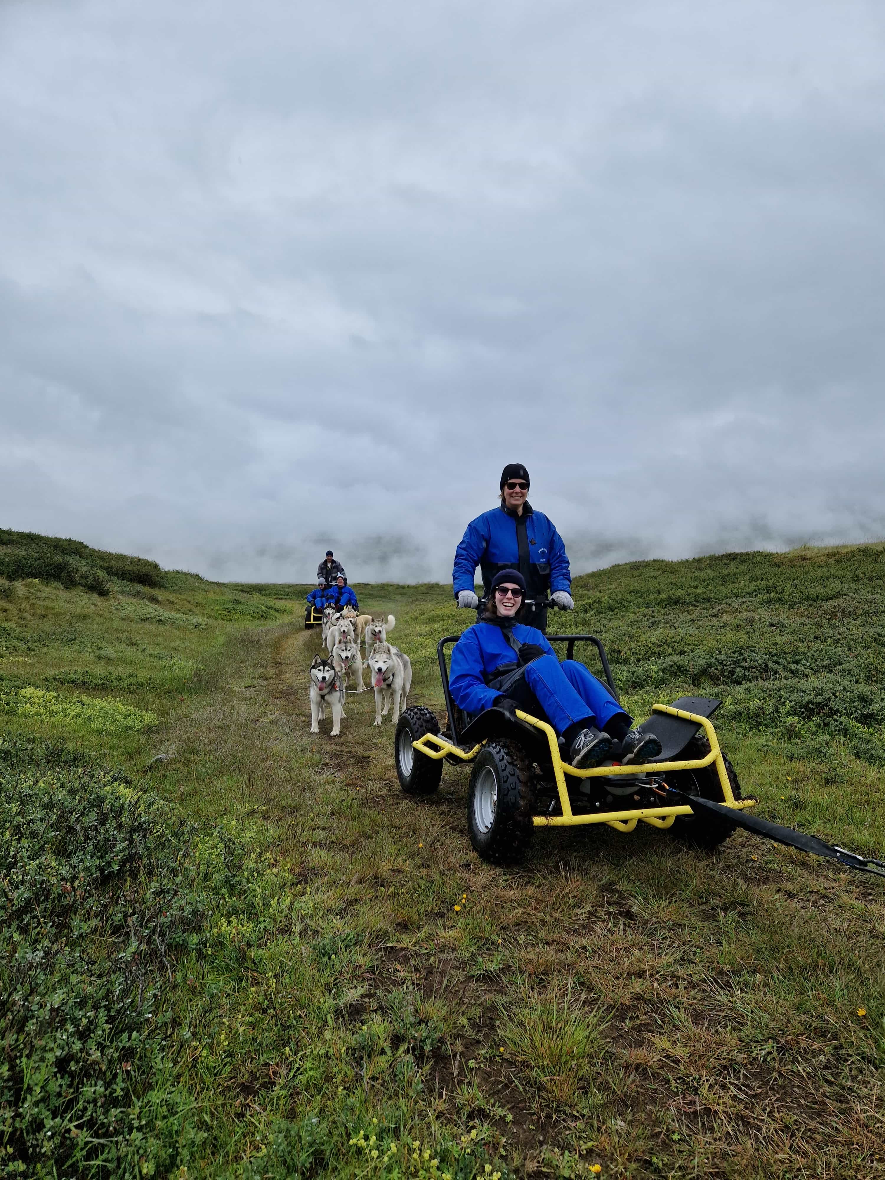 Siberian Husky dry land Dog sledding