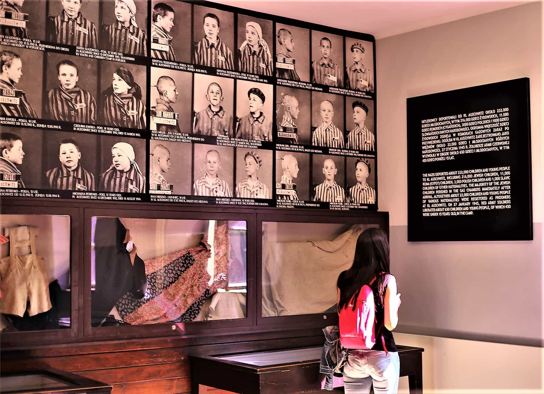 Auschwitz-Birkenau Museum: Private transport from Krakow and Back