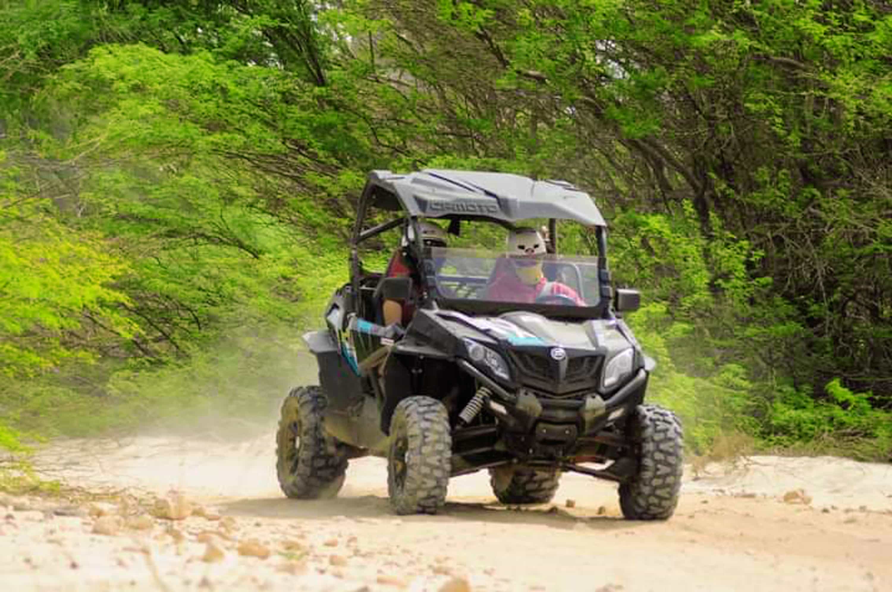  Boa Vista Island: 2h Thrilling Buggy Experience Morning Departure