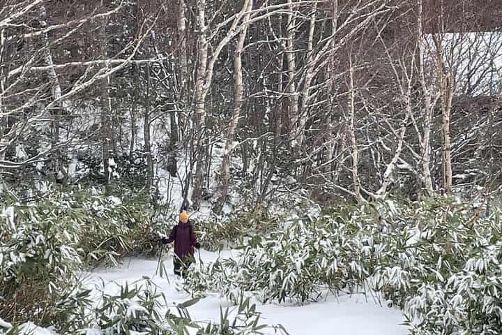 Full Day Snowshoeing Adventures with Onsen.
