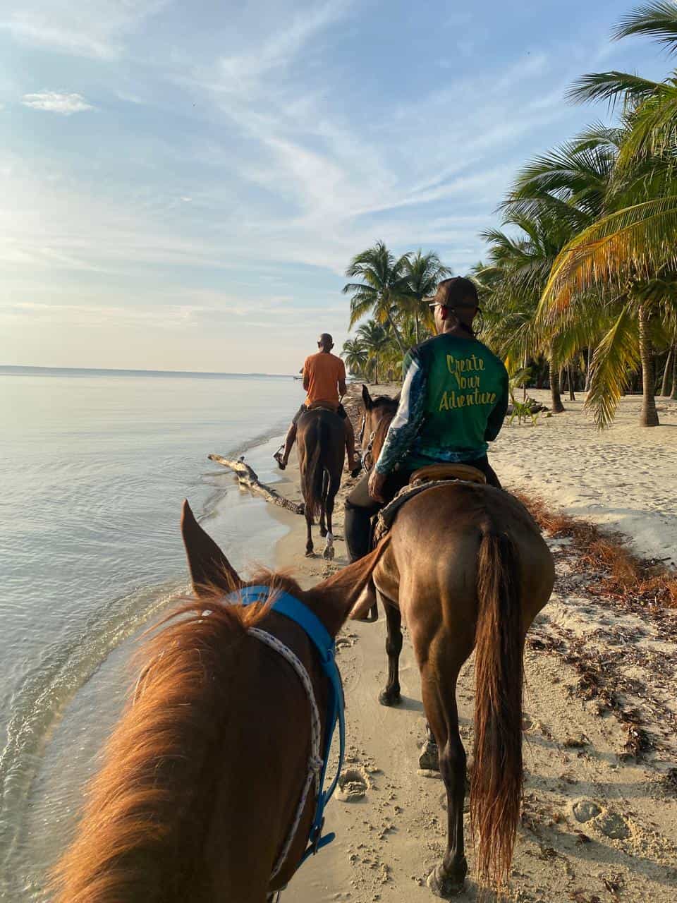 T3Eii-Belize beach horseback riding