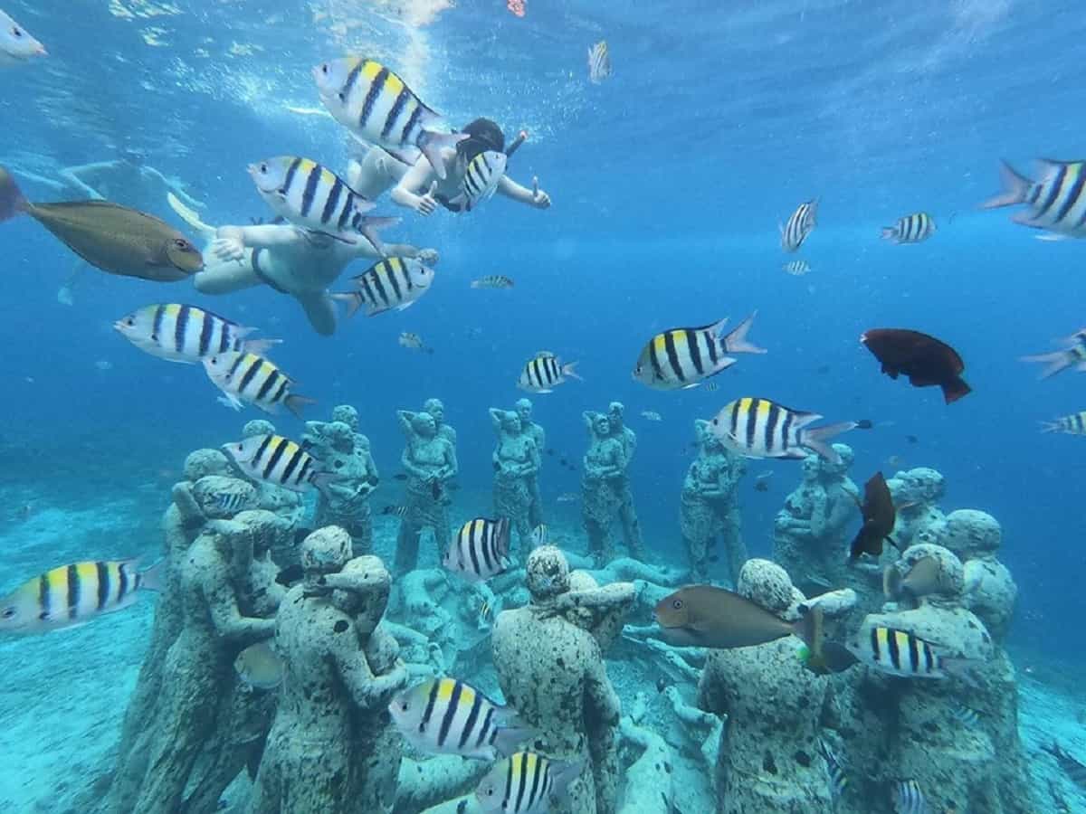 Gili Trawangan Sunset BBQ Dinner Cruise with snorkeling 