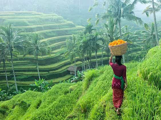 Best of Bali: Private Customized Full-Day Tour