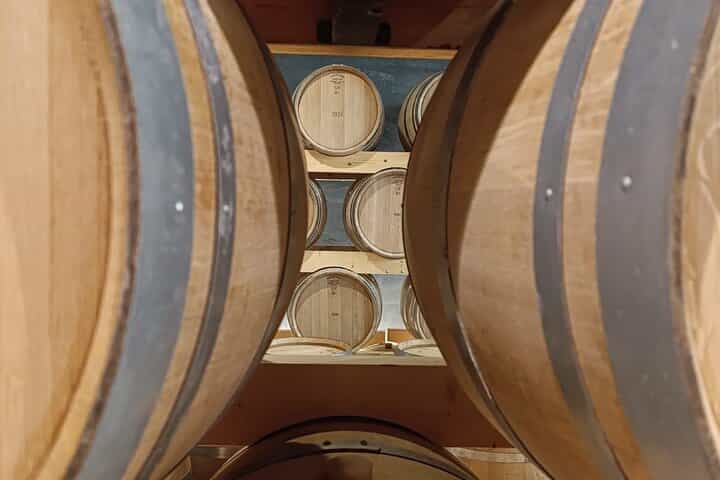 2 Day Ribera del Duero Private Wine Tour from Madrid