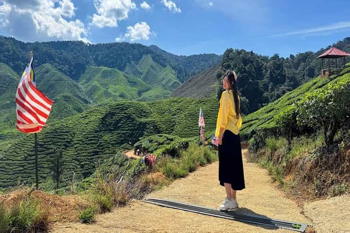 Cameron Highland Full Day Tour from KL City (Private)
