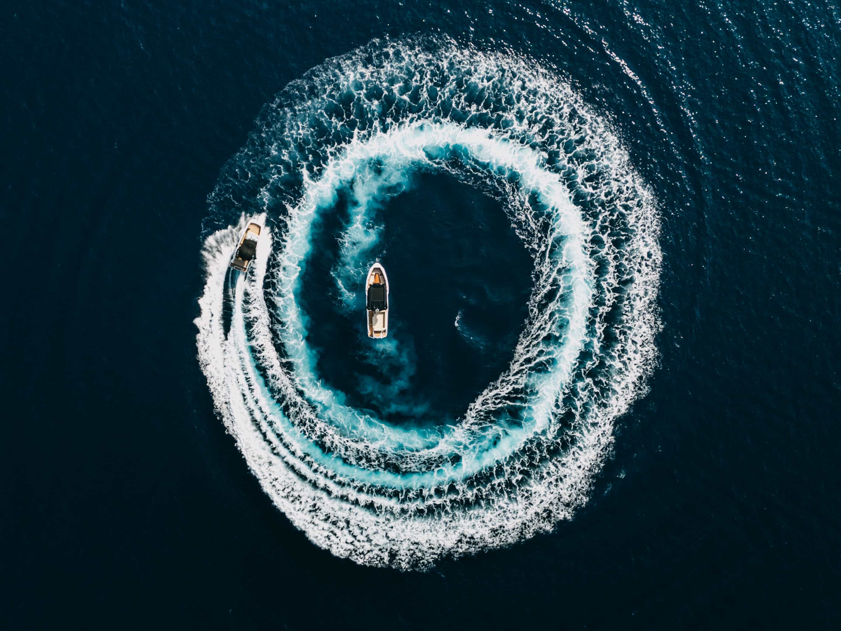 ❖ Alesta Raptor | Private