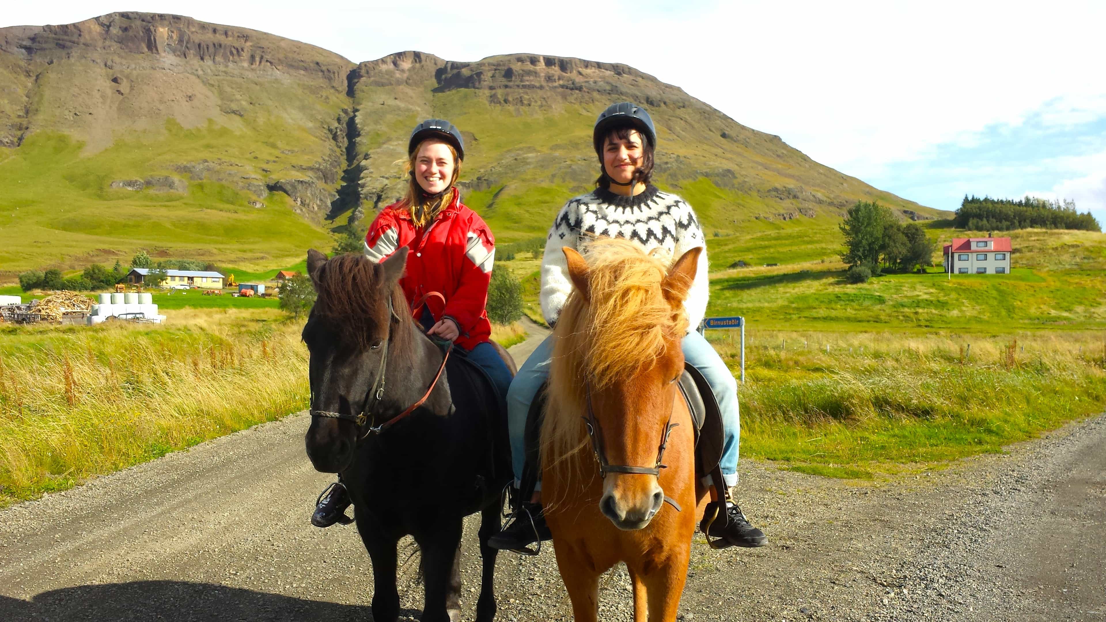 1-Hour Horseback Riding Tour