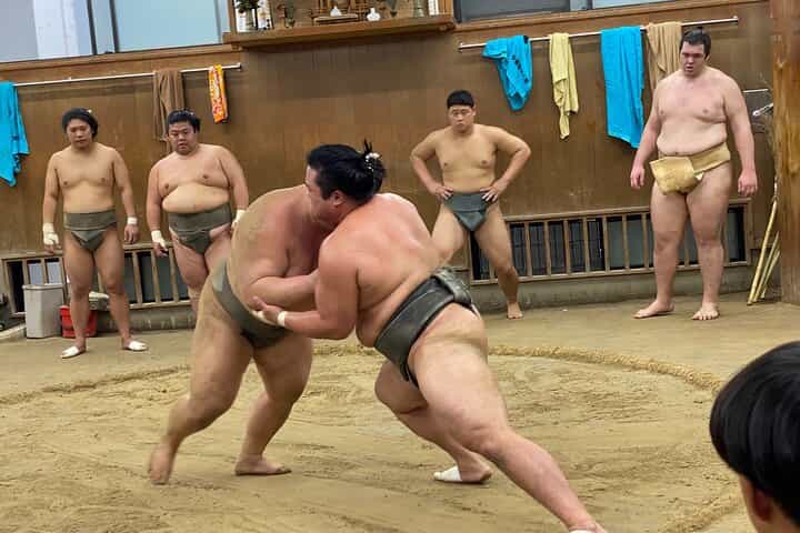 Tokyo Sumo Morning Practice with Guide – Ringside Live Training