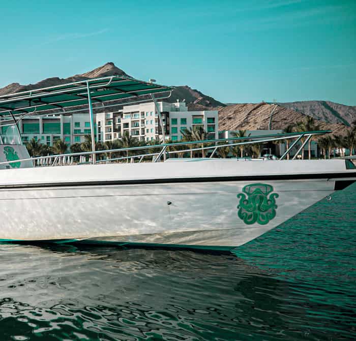 Exclusive boating experience (Dolphin watching)