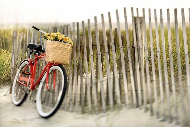 Lido Bike Tour: From Sandy Beaches to Film History