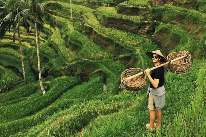 Ubud Jungle Swing - Monkey Forest - Water Temple - Waterfall 