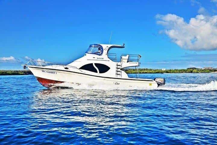 Transfer from Santa Cruz Island to Isabela Island - Musement
