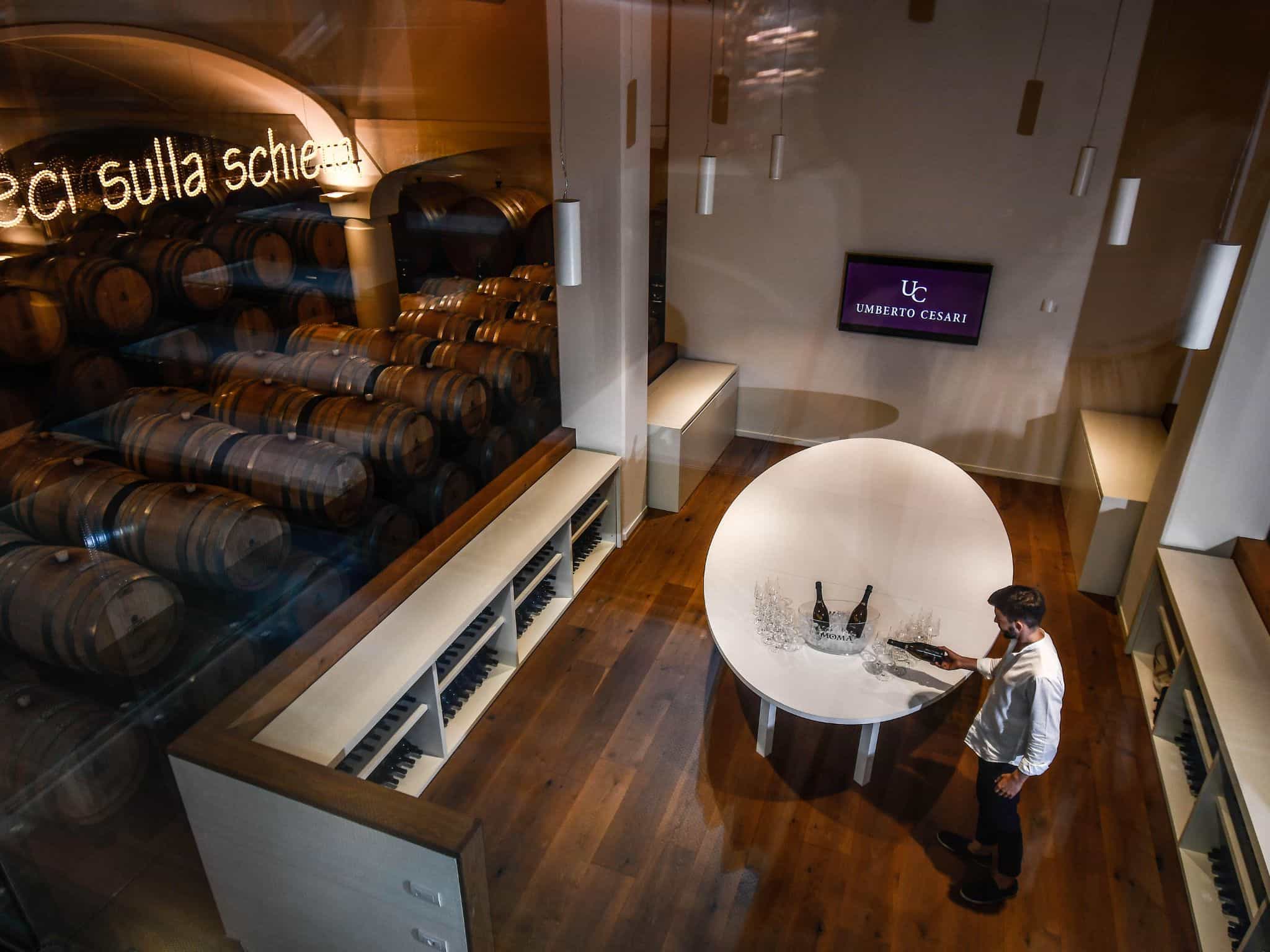 Luxury Wine Tasting with Food Pairing near Bologna