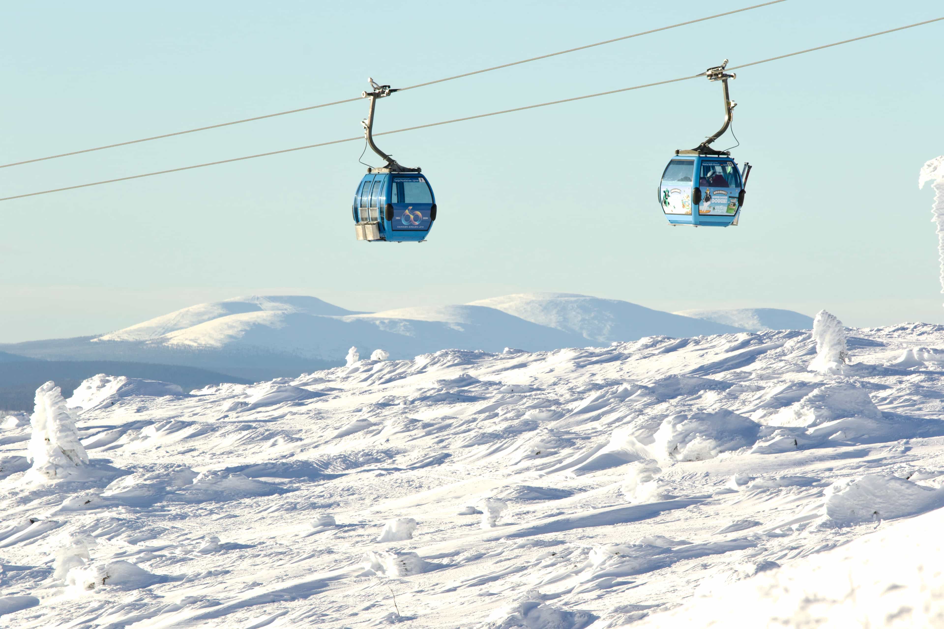 Levi Scenic Tour Reindeer Encounter and Snowshoe Adventure