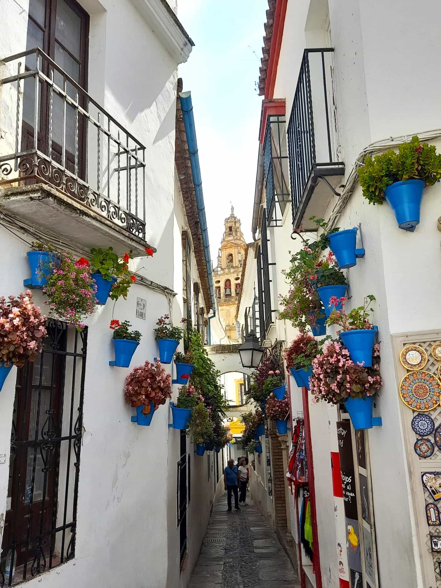 From Costa del Sol: private trip to Cordoba