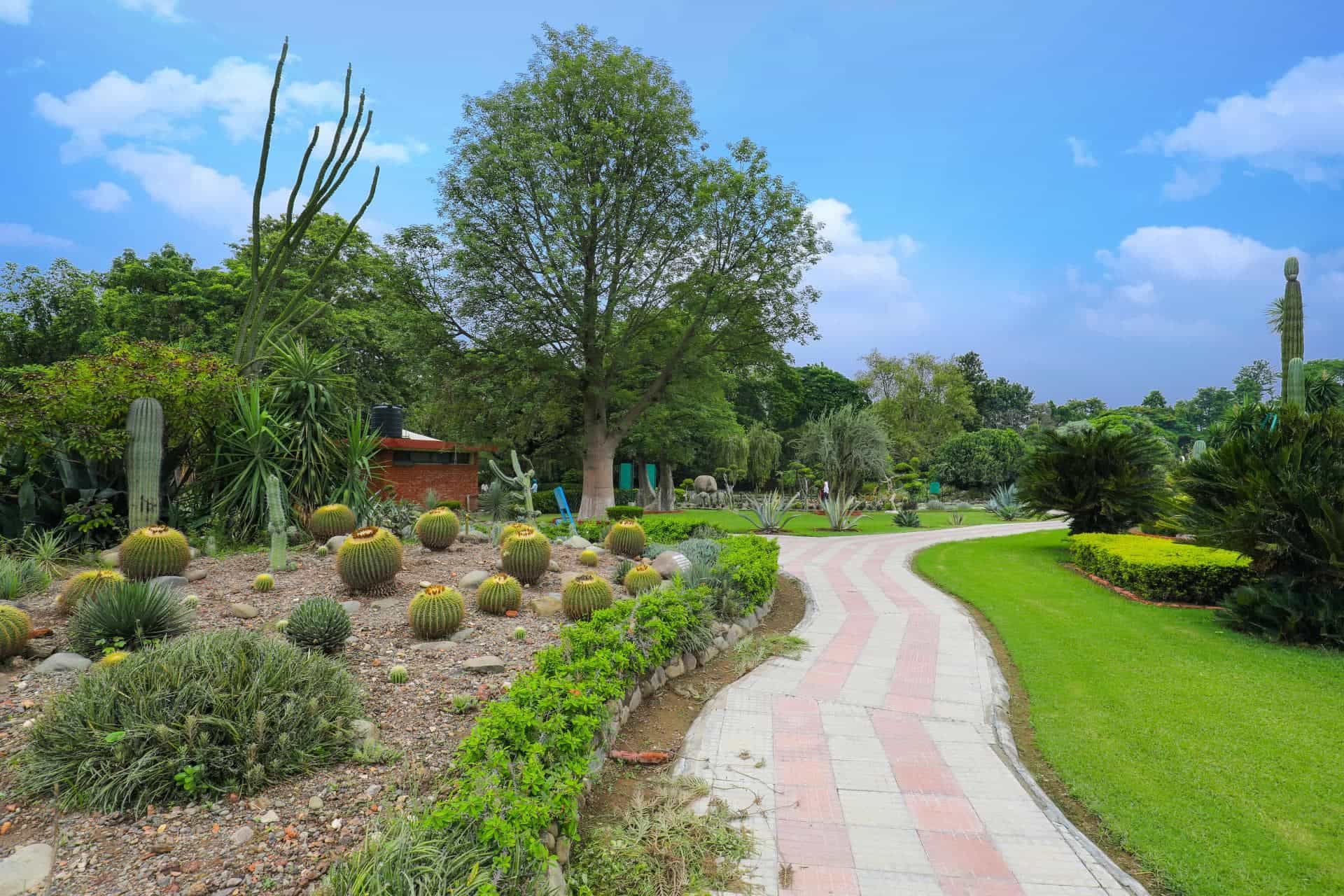 Vibrant Chandigarh City Tour