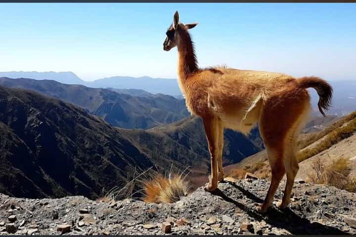 4X4 tour Villavicencio Puente del Inca