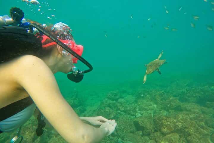 From Abu Dhabi: Try Diving experience and Snorkeling in Fujairah
