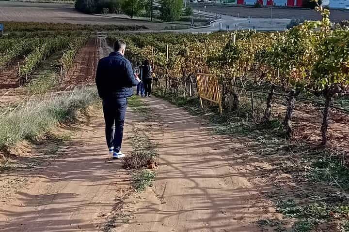 Ribera del Duero Tour: Two Wineries with Transport from Madrid