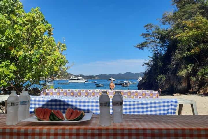 Isla Tortuga VIP from Jaco: Small Groups, Monkey & safari tour