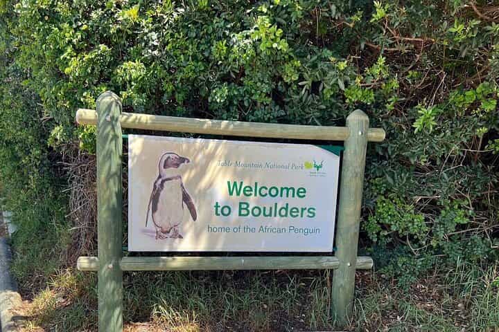 One Day Cape of Good and Penguin Colony Expedition from Cape Town