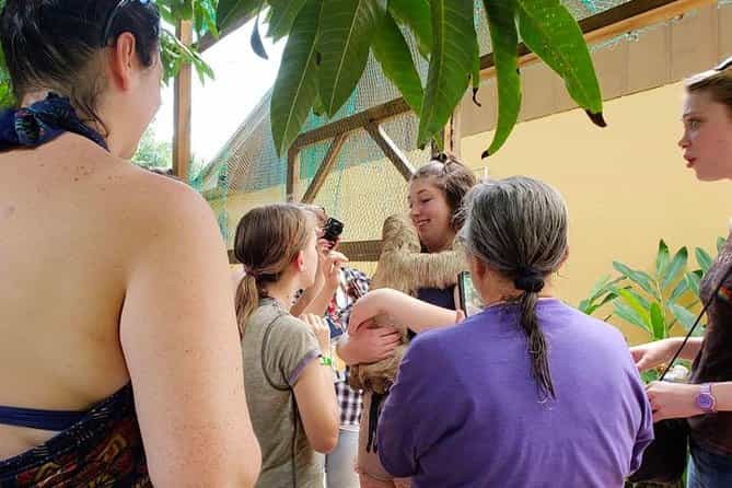 Roatan AJ's Sloths, Monkeys Eco Encounter, City Tour, Beach Break & Transfer