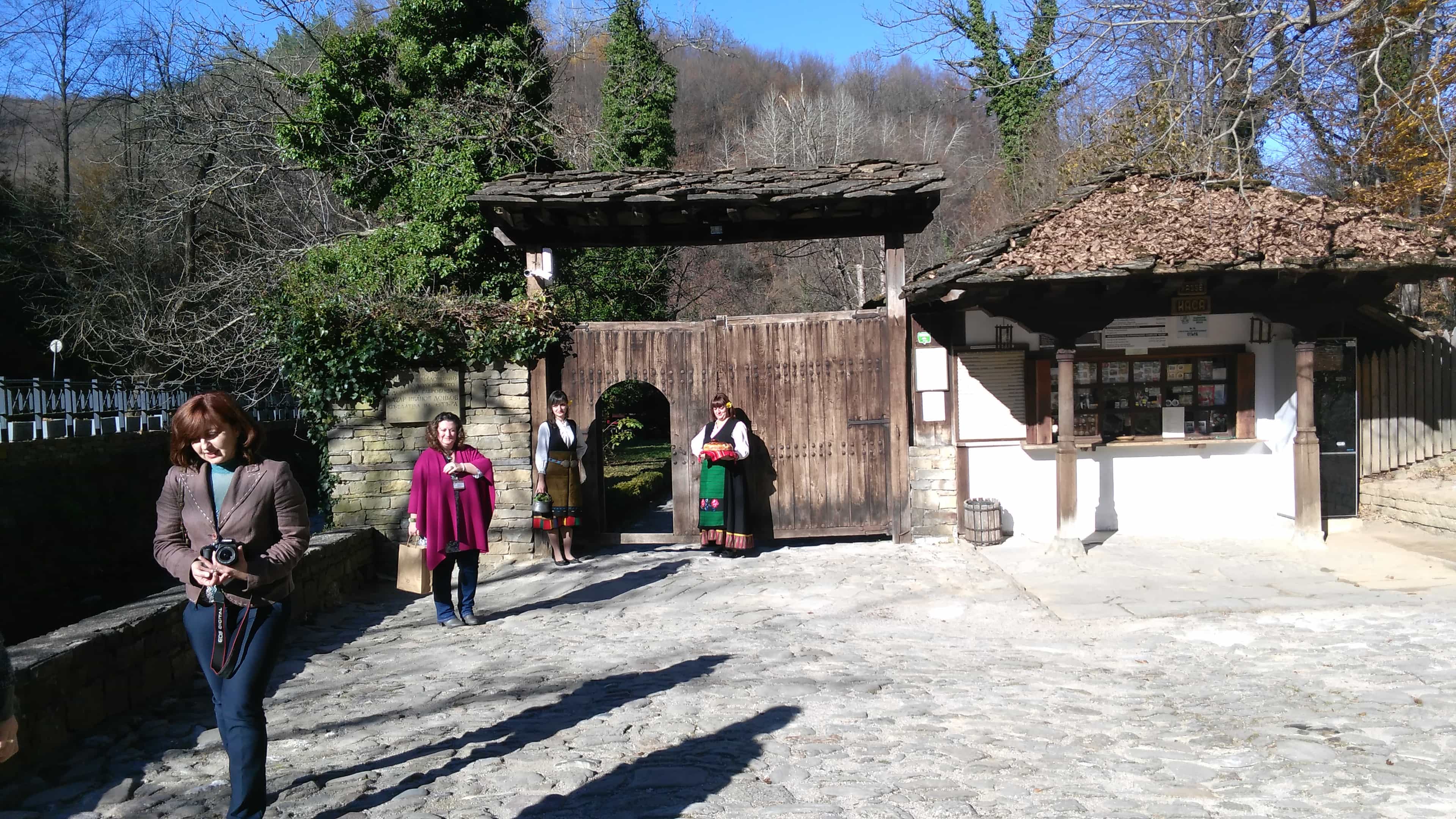 Skip the Line: Tour in Open Air Ethnographic Museum ETAR + ticket