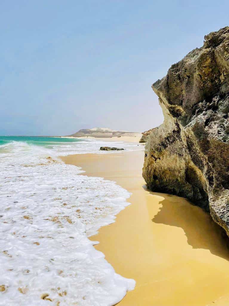Boa Vista: Shark & Turtle Bay, Desert, Shipwreck & Santa Mónica Beach Tour   