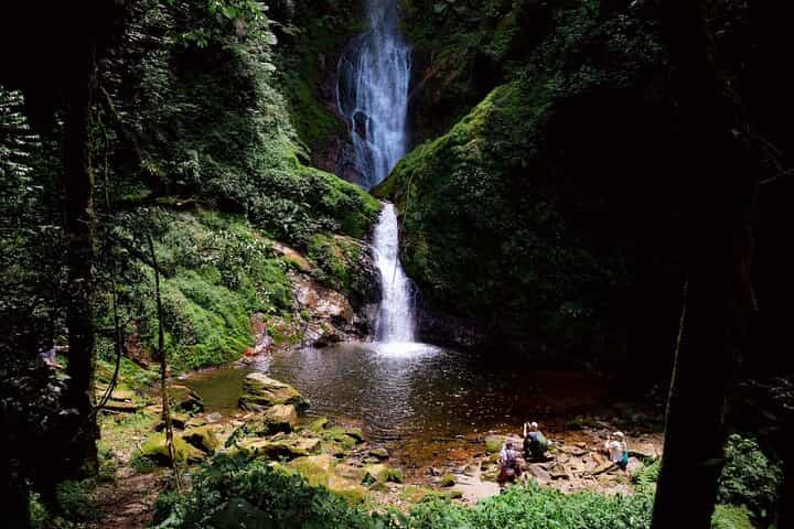 One Day Nyungwe Canopy walkway, Zipline and Ndambarare Waterfall