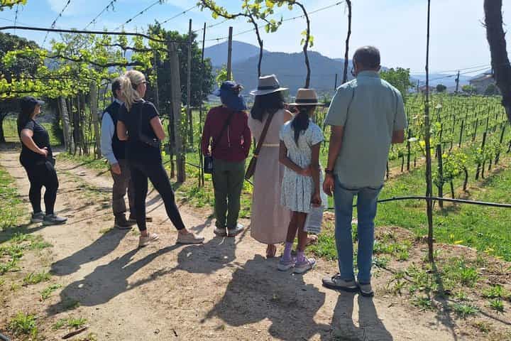 Private Paiva Walkways, 516 Bridge & Green Wine Tour from Porto
