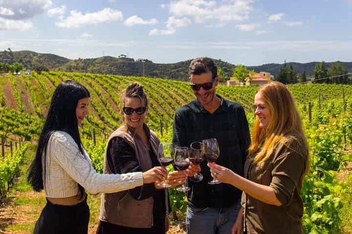 Albufeira Wine Tour: 2 Vineyards, 6 Tastings & Historic Silves