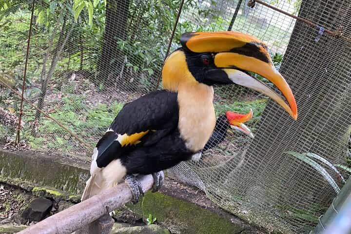 Garden & Park Half Day Tour (SIC Tour – Shared/Join In Tour)