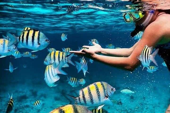 Bali Blue Lagoon Snorkeling with Waterfalls Tour - all included