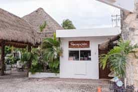 Private Shuttle from Cancun Airport to Hotel Las Arenas Puerto Morelos