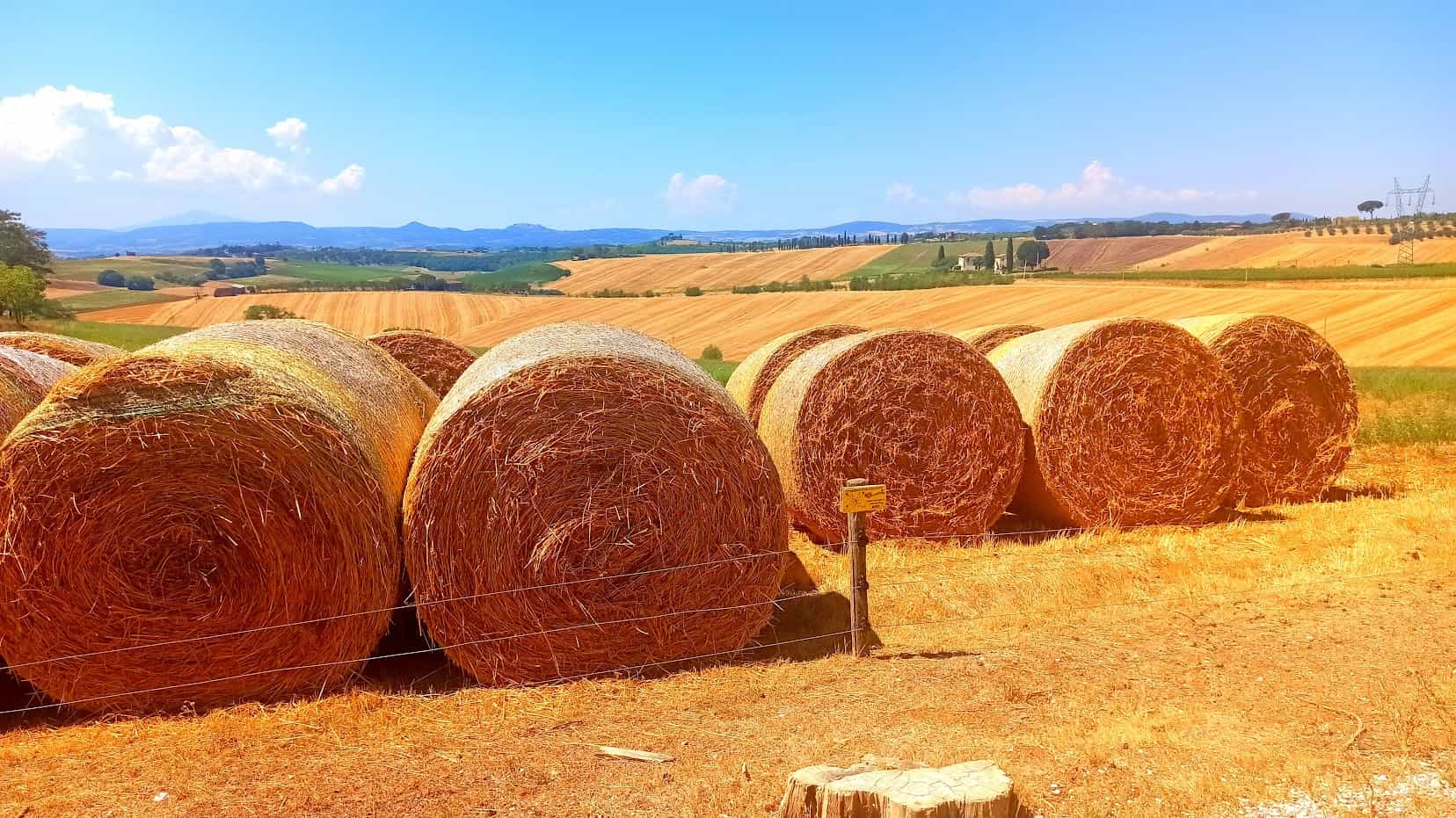 Val d'Orcia Region Private Wine Tasting Tour