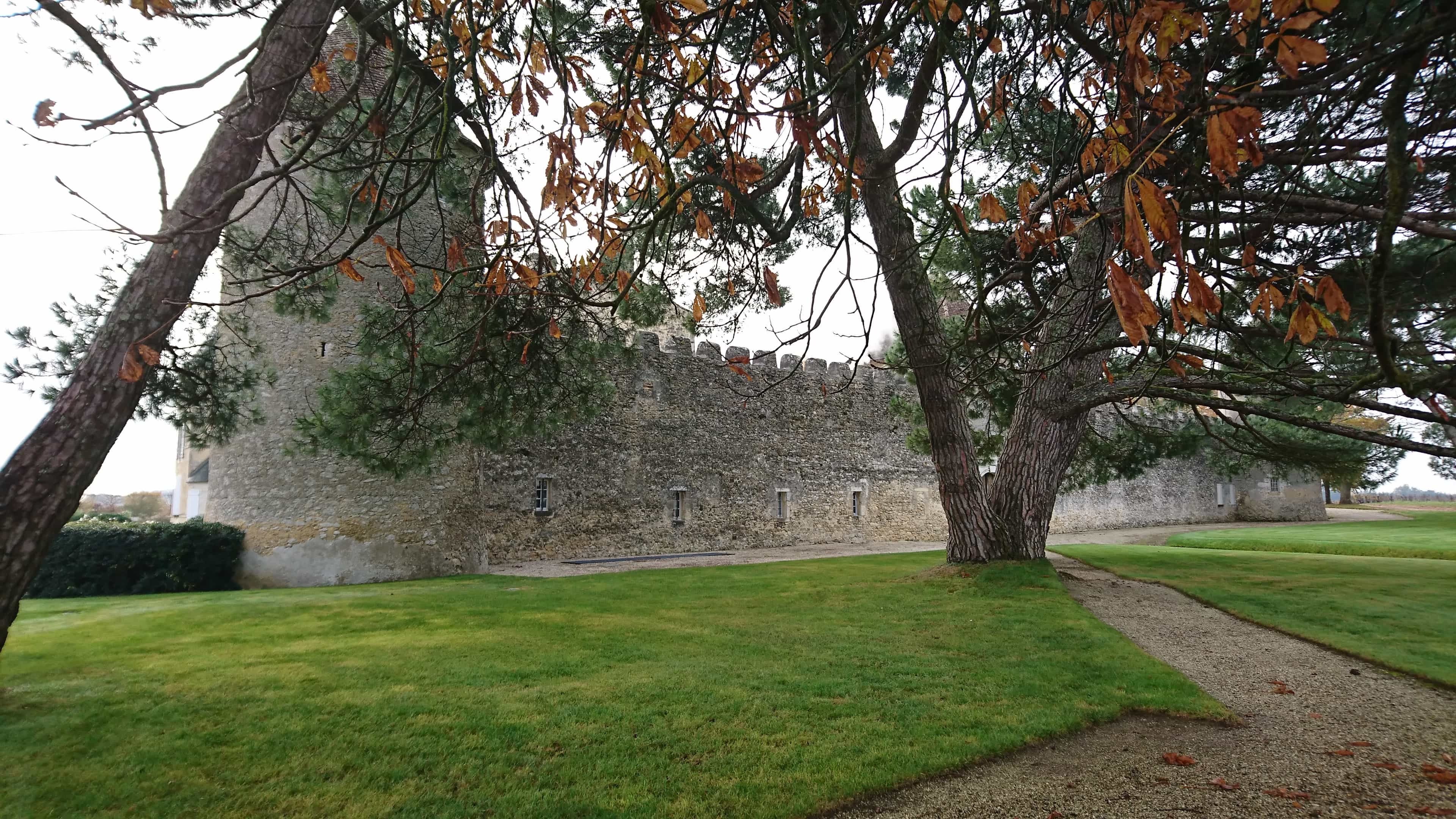 The Graves and Sauternes route on a private tour (Premium vehicle)