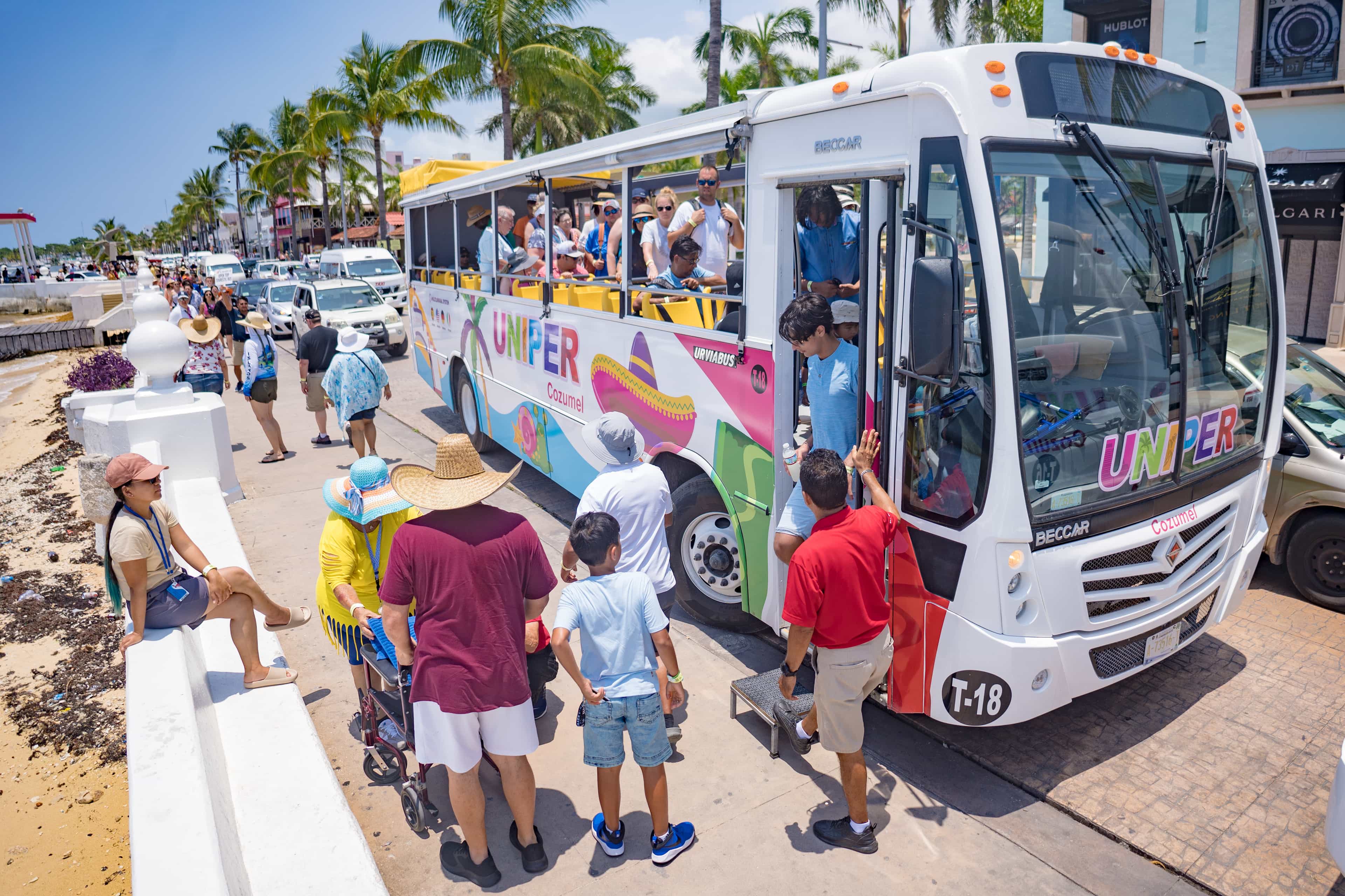 Caribbean style Hop on Hop off & Beach Break LMS