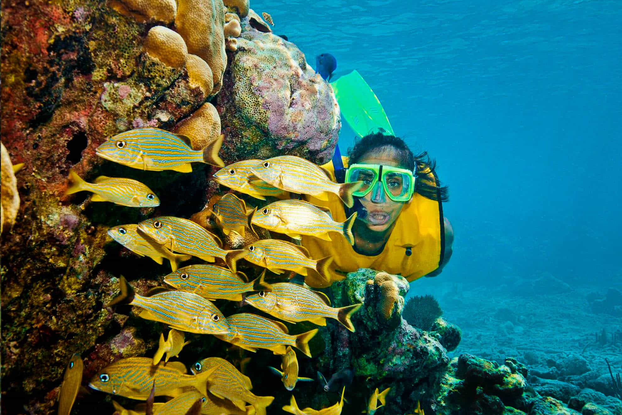Riviera Maya Snorkeling Adventure: Lagoon, Cenote & Underground River