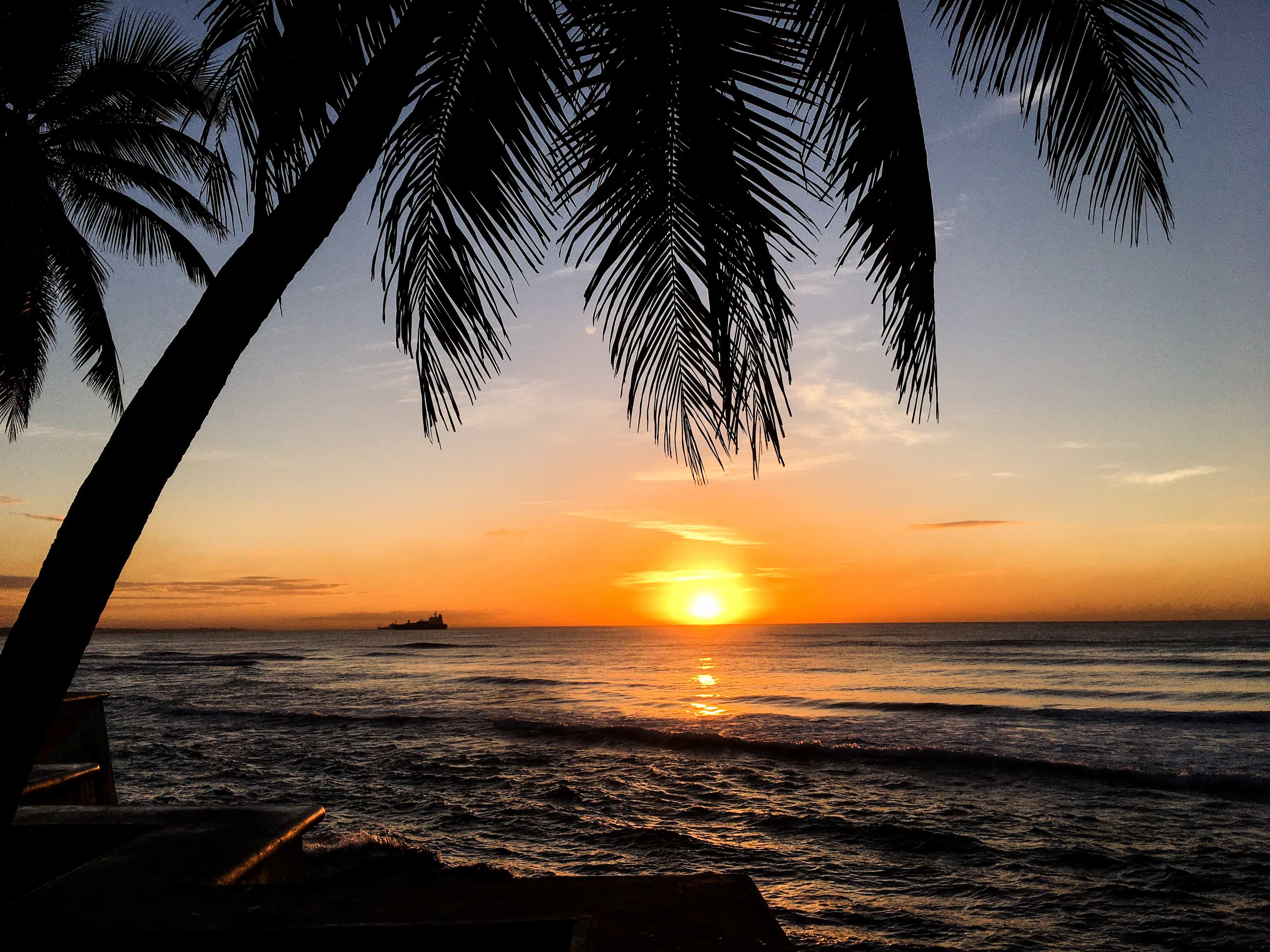 Punta cana realx 8 days 7 night