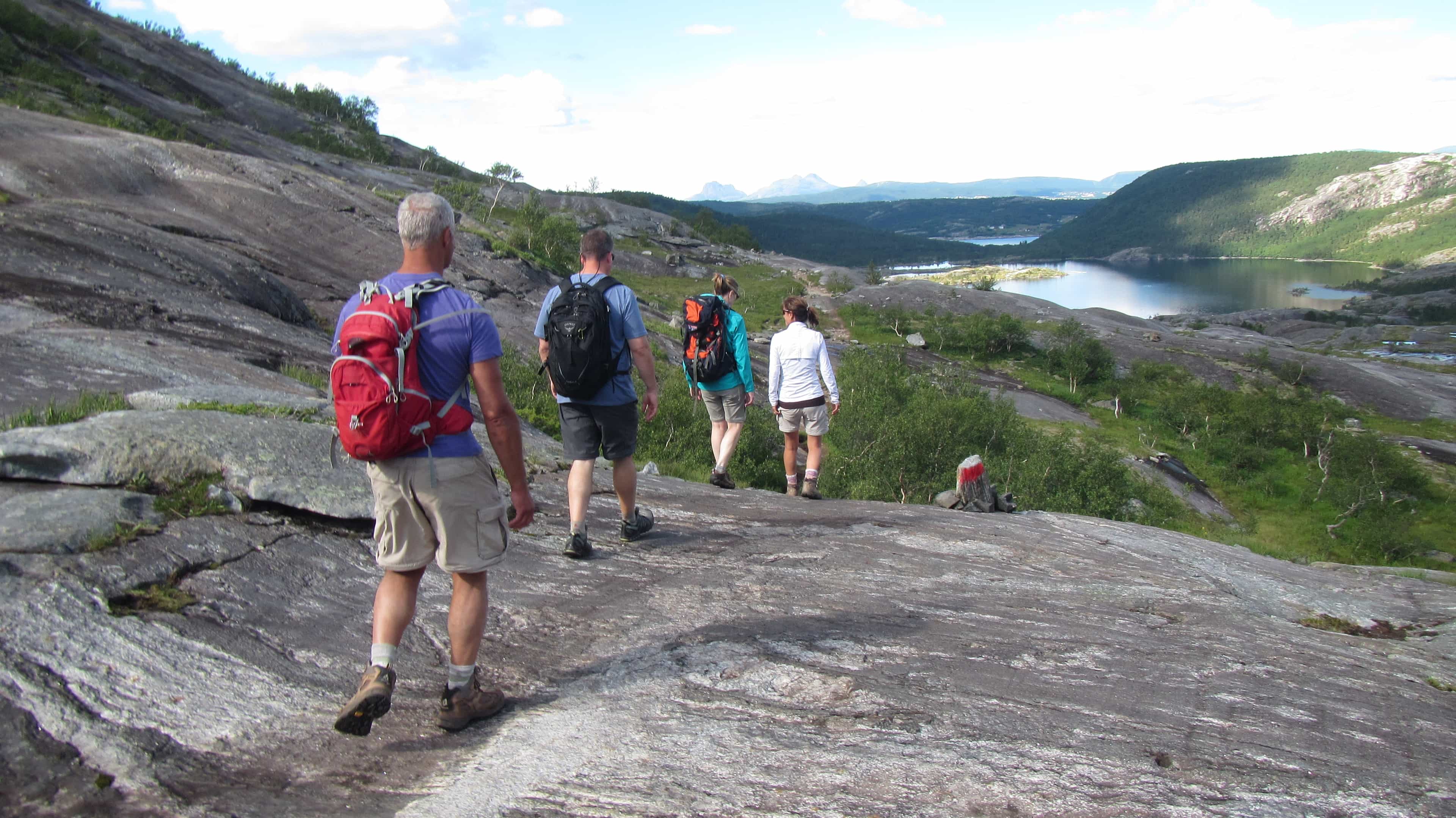 Hiking - Day Trip to Åselidalen in Bodø