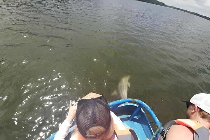 Full-Day Shared Dolphin Watching in Puerto El Morro from Guayaquil