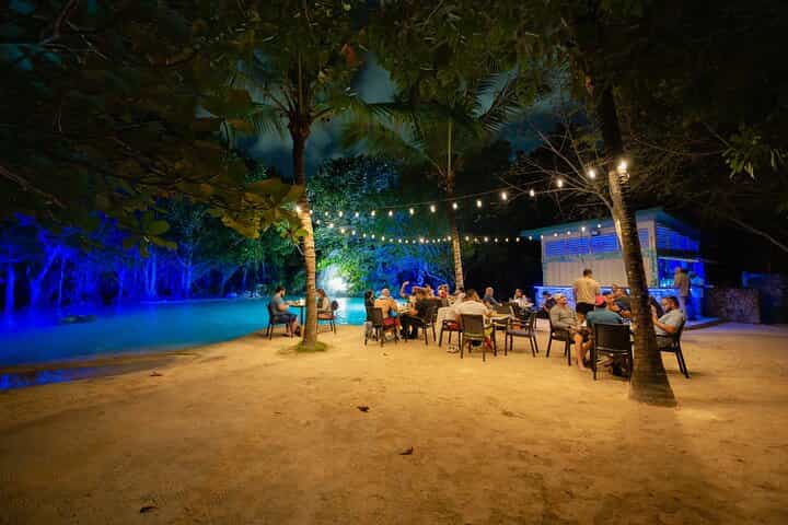 Punta Cana Night Tour Polaris Ride Dinner Music and Open Bar