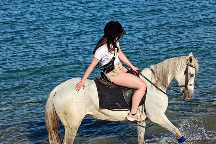 1 Hour Beach Horse Ride in Sharm El Sheikh