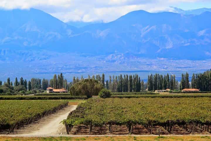5-Day Salta Private Luxury Trip